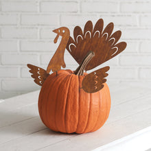 Load image into Gallery viewer, Turkey Pumpkin Decorating Pick Set