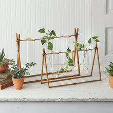 Load image into Gallery viewer, Metal Bamboo Propagation Stations