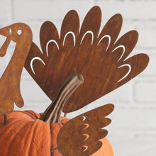 Load image into Gallery viewer, Turkey Pumpkin Decorating Pick Set
