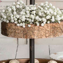 Load image into Gallery viewer, Bird and Birch Two Tiered Tray