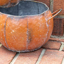 Load image into Gallery viewer, Fall Pumpkin Planter Set