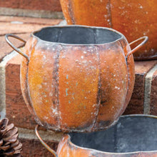 Load image into Gallery viewer, Fall Pumpkin Planter Set