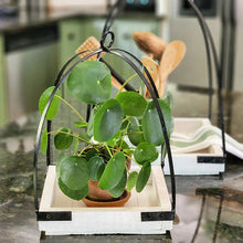 Load image into Gallery viewer, Modern Farmhouse Dome Frame Lanterns