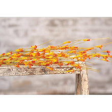 Load image into Gallery viewer, Wispy Orange Buds Flower Bush