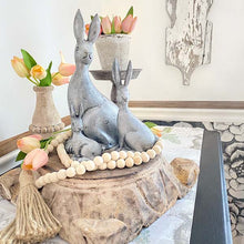 Load image into Gallery viewer, Cottontail Rabbit Set