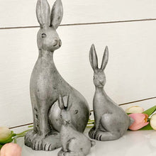 Load image into Gallery viewer, Cottontail Rabbit Set