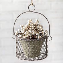 Load image into Gallery viewer, Hanging Pot With Wire Basket