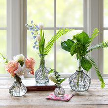 Load image into Gallery viewer, Chicken Wire Jar Collection