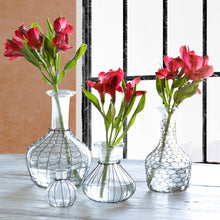 Load image into Gallery viewer, Chicken Wire Jar Collection