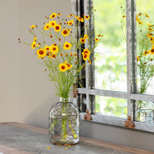 Load image into Gallery viewer, Chicken Wire Jar Collection