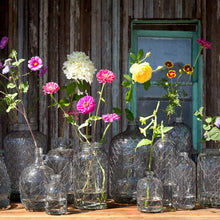 Load image into Gallery viewer, Chicken Wire Jar Collection