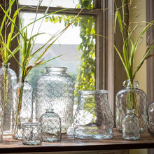 Load image into Gallery viewer, Chicken Wire Jar Collection