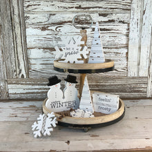 Load image into Gallery viewer, Winter Tray Bundle
