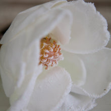 Load image into Gallery viewer, Frosted Magnolia Flower Stem