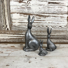 Load image into Gallery viewer, Cottontail Rabbit Set