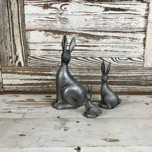 Load image into Gallery viewer, Cottontail Rabbit Set