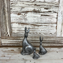 Load image into Gallery viewer, Cottontail Rabbit Set