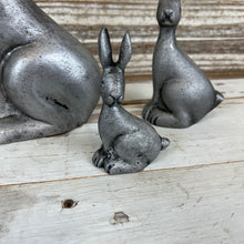 Load image into Gallery viewer, Cottontail Rabbit Set