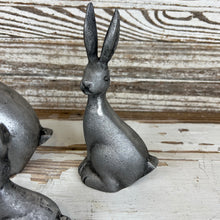Load image into Gallery viewer, Cottontail Rabbit Set