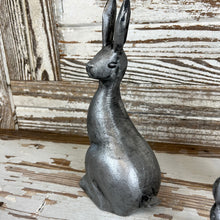 Load image into Gallery viewer, Cottontail Rabbit Set