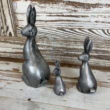 Load image into Gallery viewer, Cottontail Rabbit Set
