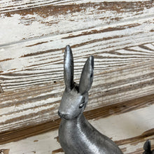 Load image into Gallery viewer, Cottontail Rabbit Set