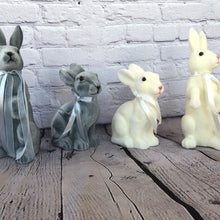 Load image into Gallery viewer, Bunny Set