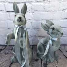 Load image into Gallery viewer, Bunny Set