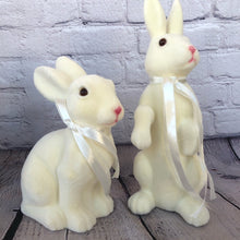 Load image into Gallery viewer, Bunny Set