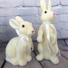 Load image into Gallery viewer, Bunny Set