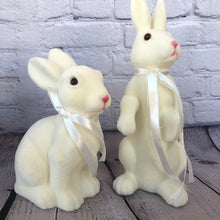 Load image into Gallery viewer, Bunny Set