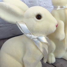 Load image into Gallery viewer, Bunny Set