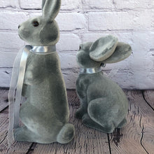 Load image into Gallery viewer, Bunny Set