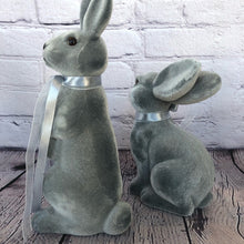 Load image into Gallery viewer, Bunny Set