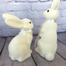 Load image into Gallery viewer, Bunny Set