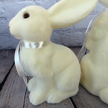 Load image into Gallery viewer, Bunny Set
