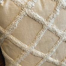 Load image into Gallery viewer, Natural Diamond Pillow