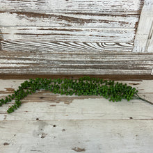 Load image into Gallery viewer, Hanging Succulent Beans