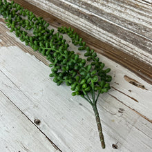 Load image into Gallery viewer, Hanging Succulent Beans