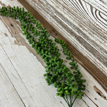 Load image into Gallery viewer, Hanging Succulent Beans