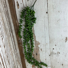 Load image into Gallery viewer, Hanging Succulent Beans