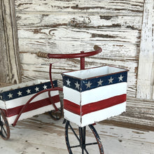 Load image into Gallery viewer, Patriotic Trike Planter