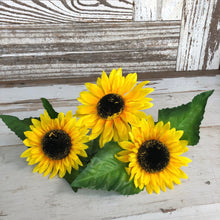 Load image into Gallery viewer, Honey Bundle