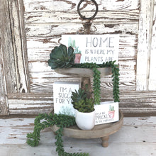 Load image into Gallery viewer, Succulent Bundle