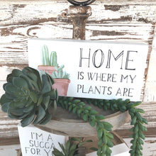 Load image into Gallery viewer, Succulent Bundle