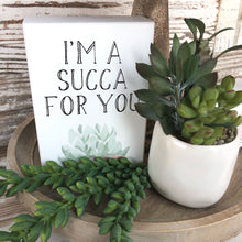Load image into Gallery viewer, Succulent Bundle