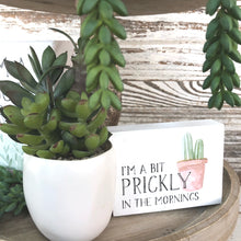 Load image into Gallery viewer, Succulent Bundle