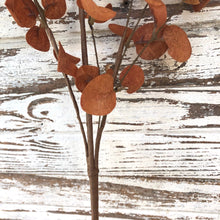 Load image into Gallery viewer, Burnt Orange Penny Leaf Spray