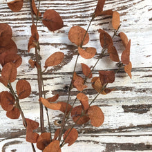 Load image into Gallery viewer, Burnt Orange Penny Leaf Spray