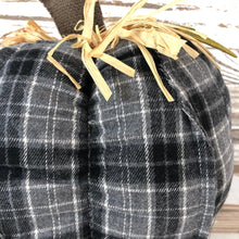 Load image into Gallery viewer, Plush Pumpkins